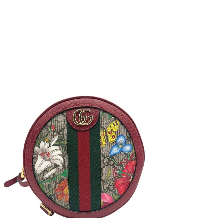 Borse Gucci | Zaino Gucci Ophidia Multicolore